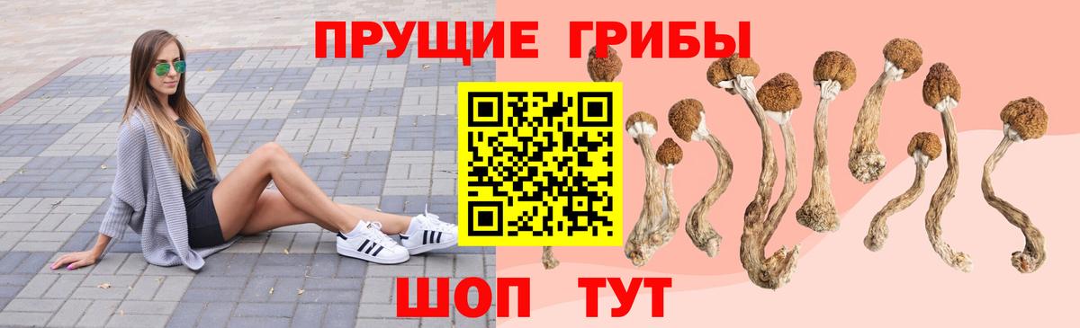 Краснотурьинск  Псилоцибиновые грибы Psilocybine cubensis  Вход с VPN 